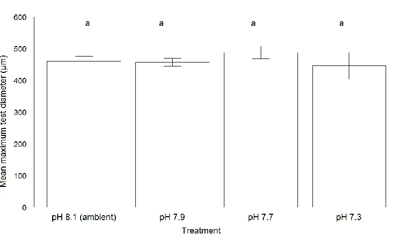 Figure 3. 5 Mean values (± standard error) of maximum test diameter (µm) for ‘live’ Elphidium williamsoni 