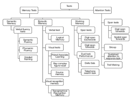 Figure 2.4: This diagram shows the cognitive testing battery examining different aspects of memory  and attention used in the studies of (Twigg et al., 2010)