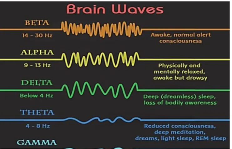 Figure 1:Brain Waves Type. 