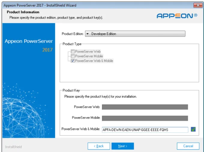 Figure 4.2: Product edition, type and key page
