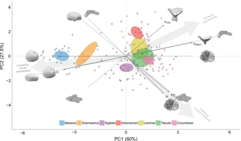 Fig. 1 Projection of 152 coral colonies in two dimensions by the 1stand 2nd principal components (PC) of six-dimensional shape space.Points coloured by growth form classiﬁcation with 95% conﬁdenceellipses around the group means