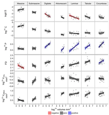 Fig. 3 Size by shape variable