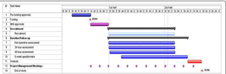 Figure 2B- Beginning; M – Middle; E – End (of month); (dd/mm); produced on MS Project software (Microsoft®Project 2010) SCARLESS Gannt Chart.