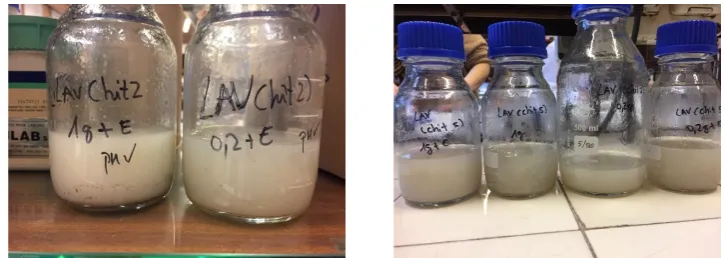 Figure 1. Emulsion samples of high molecular weight (left) and low molecular weight (right)