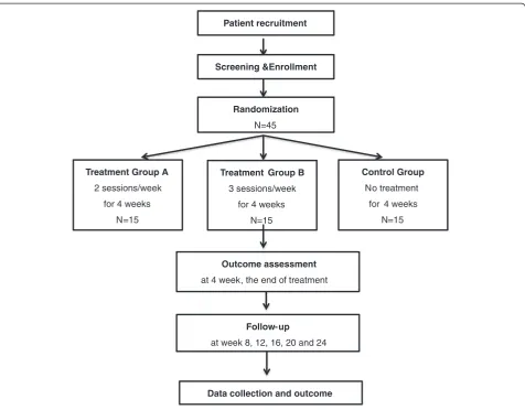 Figure 1 Flowchart of the study design.