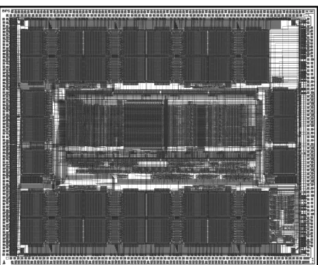 Figure 8: The BIPS-1 64-bit Floating-Point Divider