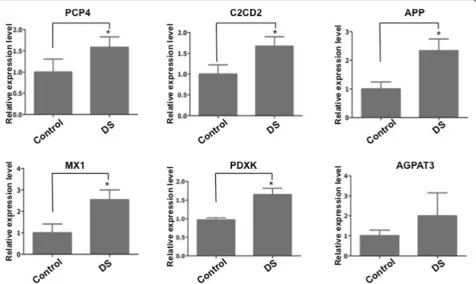 Fig. 8 Hsa-miR-138 downregulated EZH2 by interacting with its 3′UTR. a The pMIR-REPORT-EZH2 3′ UTR was cotransfected into HEK293Tcells with hsa-miR-138 mimics or none-target control