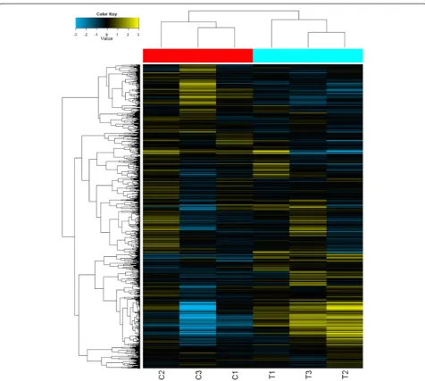 Fig. 1 Hierarchical clustering of DS fetal samples and control samples. Hierarchical clustering of all covered human mature miRNAs