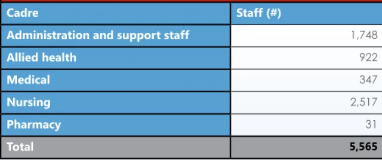 Table 1: Cadres in Uganda, as Identified by Stakeholders