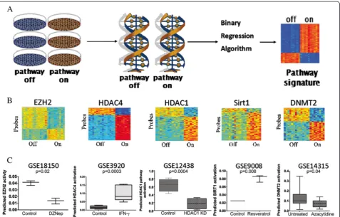 Figure 1 Genomic signatures of epigenetic pathways. Athe left, and each row is a probe