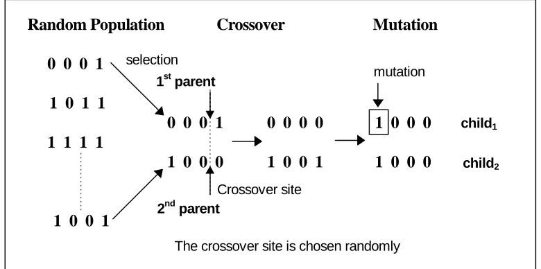 Fig. 2 : the classic genetic algorithm