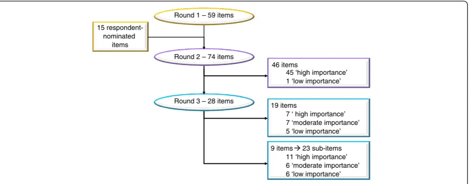 Figure 3 Flow of items through the Delphi survey.