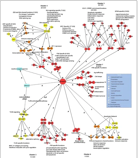 Figure 3 BIOBASE-derived signaling network centered on p38 MAPK.targets. In yellow are non-p38 MAPK pathway transcription factors and their target GOIs