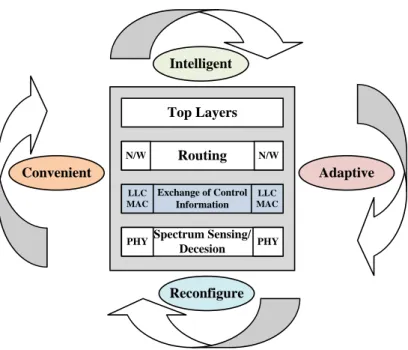 Figure 1.5: Generic capabilities of cognitive radio networks. 