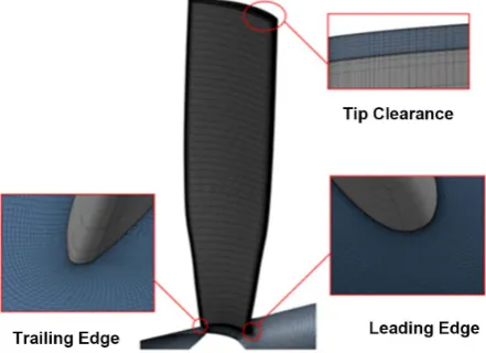 Figure 3. Grid distribution of the blade. 
