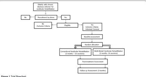 Figure 1 Trial flowchart.