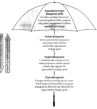 Figure 2.3: Organizational Project Management 