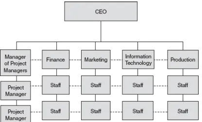 FIGURE 1.4 Strong matrix organizational chart
