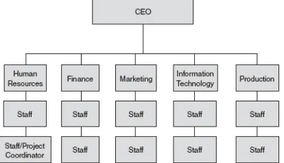 FIGURE 1.5 Weak matrix organizational chart