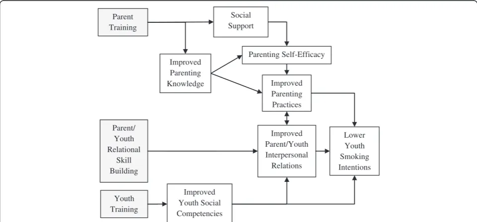 Figure 1 Padres Informados/Jóvenes Preparados conceptual model. *Intervention components in gray.