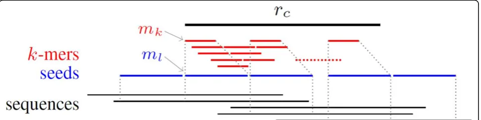 Figure 3 Extension fromto k-mer mk to l-mer ml and seeds building in a cluster (the seeds outside rc are built from sequences aligned rc).
