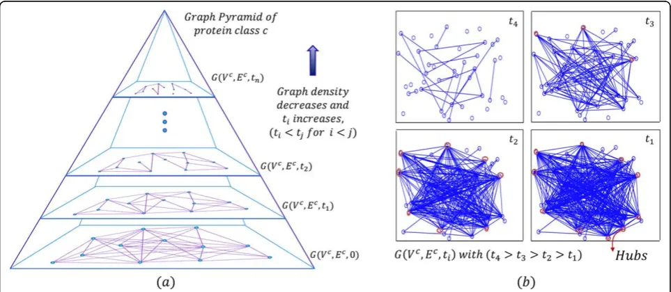 Figure 2 The Graph Pyramid (GP). (a) Graph pyramid: a hierarchical analysis of the graph, (b) Building of the Protein-Protein similarity (PPS)network with varying threshold, shows the formation of hubs