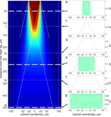 Fig. 6. Normalized collection eﬃ(b) 503collection eciency as a function of source position