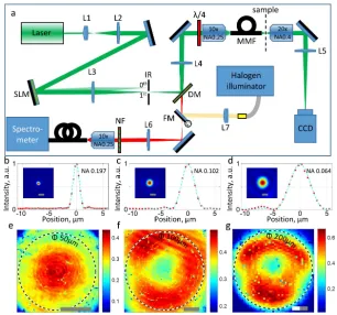 Fig. 1. Experimental setup and performance. (a) Schematics of the optical setup (multi-mode ﬁbre, MMF; dichroic mirror, DM; notch ﬁlter, NF; ﬂip mirror, FM; lenses, L)