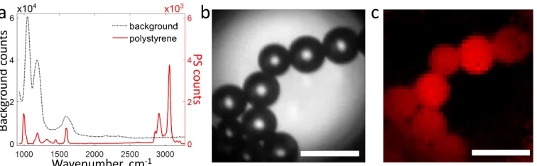 Fig. 2. Raman imaging of polystyrene particles dried on a glass coverslip. (a) Background(black dotted) and polystyrene (red solid) spectral information (treated as described in the