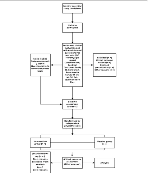 Figure 1 Flow chart characterization of the experimental design, sample composition and trial protocol.