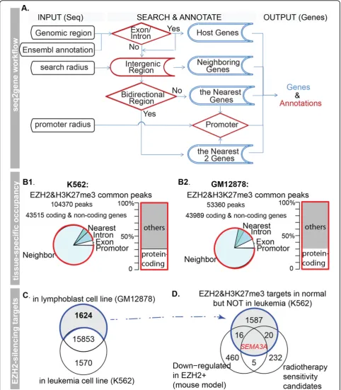 Figure 1 Identification of SEMA3A, a loss-of-EZH2-mediated silencing gene in leukemia