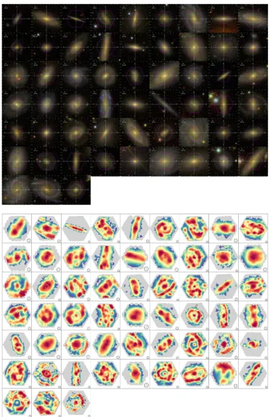 Figure B1. Top: SDSS g − r − i colour composite images (with MaNGA IFU bundle FoV superimposed) for the sample of cLIER galaxies studied in thiswork