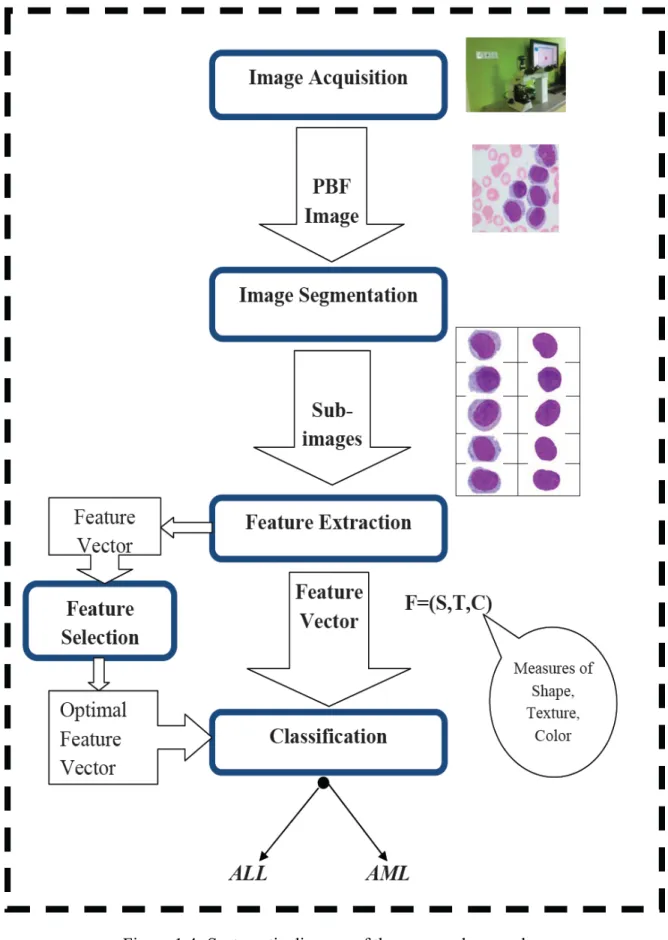 Figure 1.4: Systematic diagram of the proposed research 