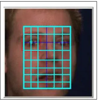 Figure 8: Cropped image divided into cells of 8 rows x 6 columns [7] 