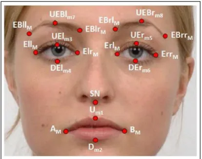 Figure 9: Position of 19 landmark points on face [9] 