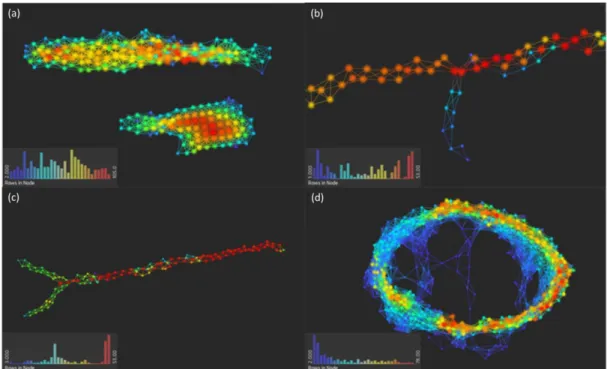 Figure 2.10 Examples of TDA output (a) Clustered (b) Flare (c) Y-junction (d) Loop 