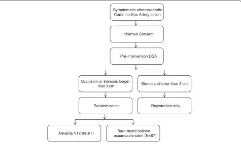Figure 2 Flowchart describing the inclusion and randomization of patients.