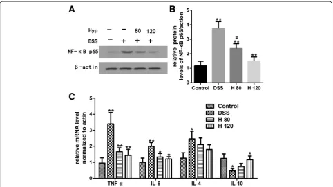 Fig. 2 Hyp alleviated DSS-induced colon damage in mice. Representative H&E-stained colorectum sections(magnification 200) and histology*score