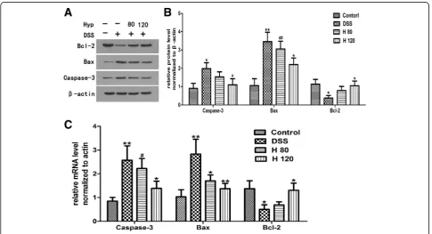 Fig. 4 Hyp alleviated the colonic expression of COX2. Immunohistochemical analysis of COX2 (magnification, 200×)