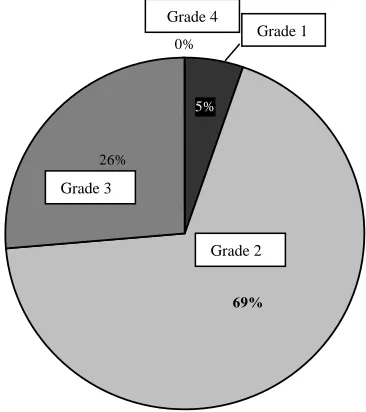 Figure 2. Tumor grading of adenocarcinomas of the appendix. 