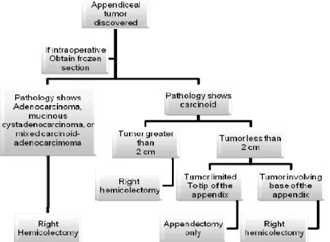 Figure 4. Treatment algorithm for primary tumors of the appendix 