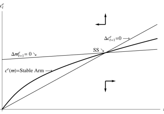 Figure 2 Consumption Function (Stable Arm of Phase Diagram)