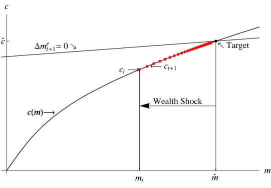 Figure 3 A Wealth Shock