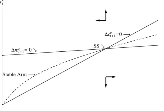 Figure 2 Consumption Function (Stable Arm of Phase Diagram)