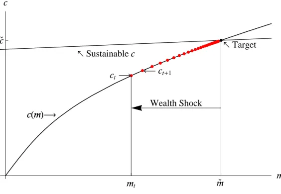Figure 5 A Wealth Shock