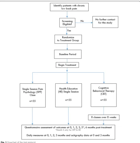 Fig. 1 Flowchart of the trial protocol