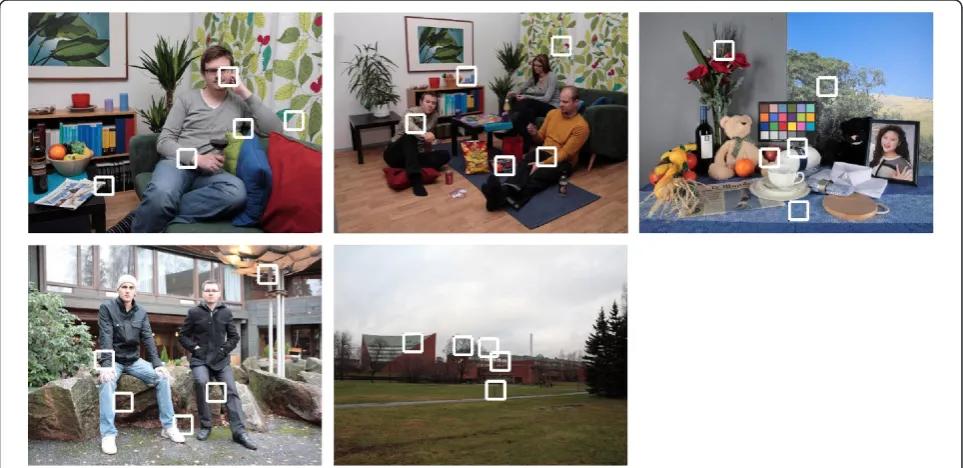 Figure 7 The five blocks with the highest sharpness are shown on reference images for Dataset I.