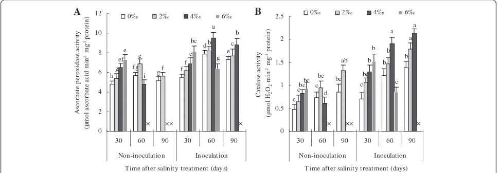 Figure 1 Relative turgidity (A) and osmotic potential (B) of apple leaves inoculated and non-inoculated with Glomus versiforme