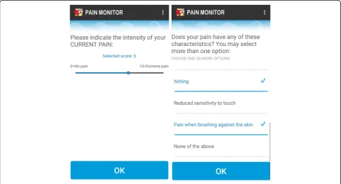 Fig. 2 Example of two app items