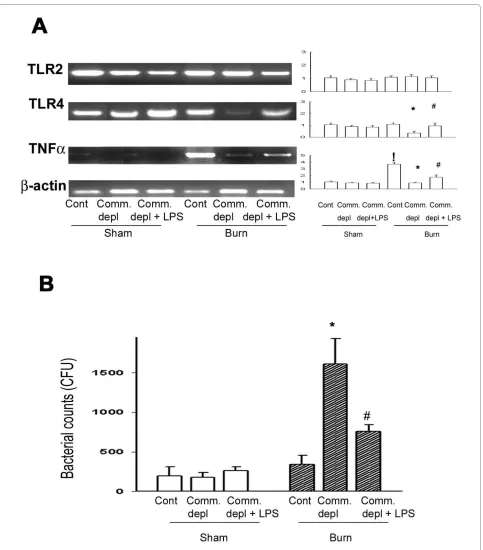 Figure 3 TLR4 ligand increased TNFα expression in lung and the bacterial killing activity of peritoneal cells# group